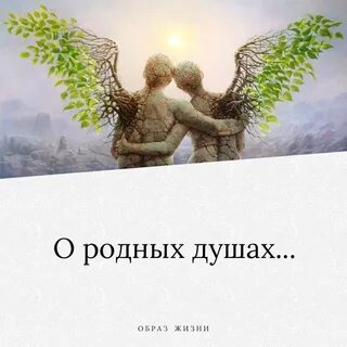 Родные души книга