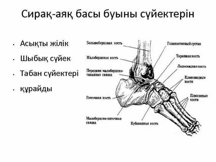Аналар қыздарына секс үйретеді (порно)
