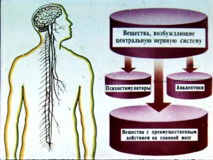 Препараты центральной нервной системы. Возбуждение нервной системы. Угнетение нервной системы. Угнетение ЦНС препараты. Средства возбуждающие ЦНС препараты.