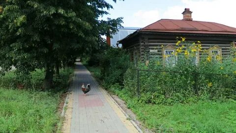 Кунак тарусская ул 10 отзывы