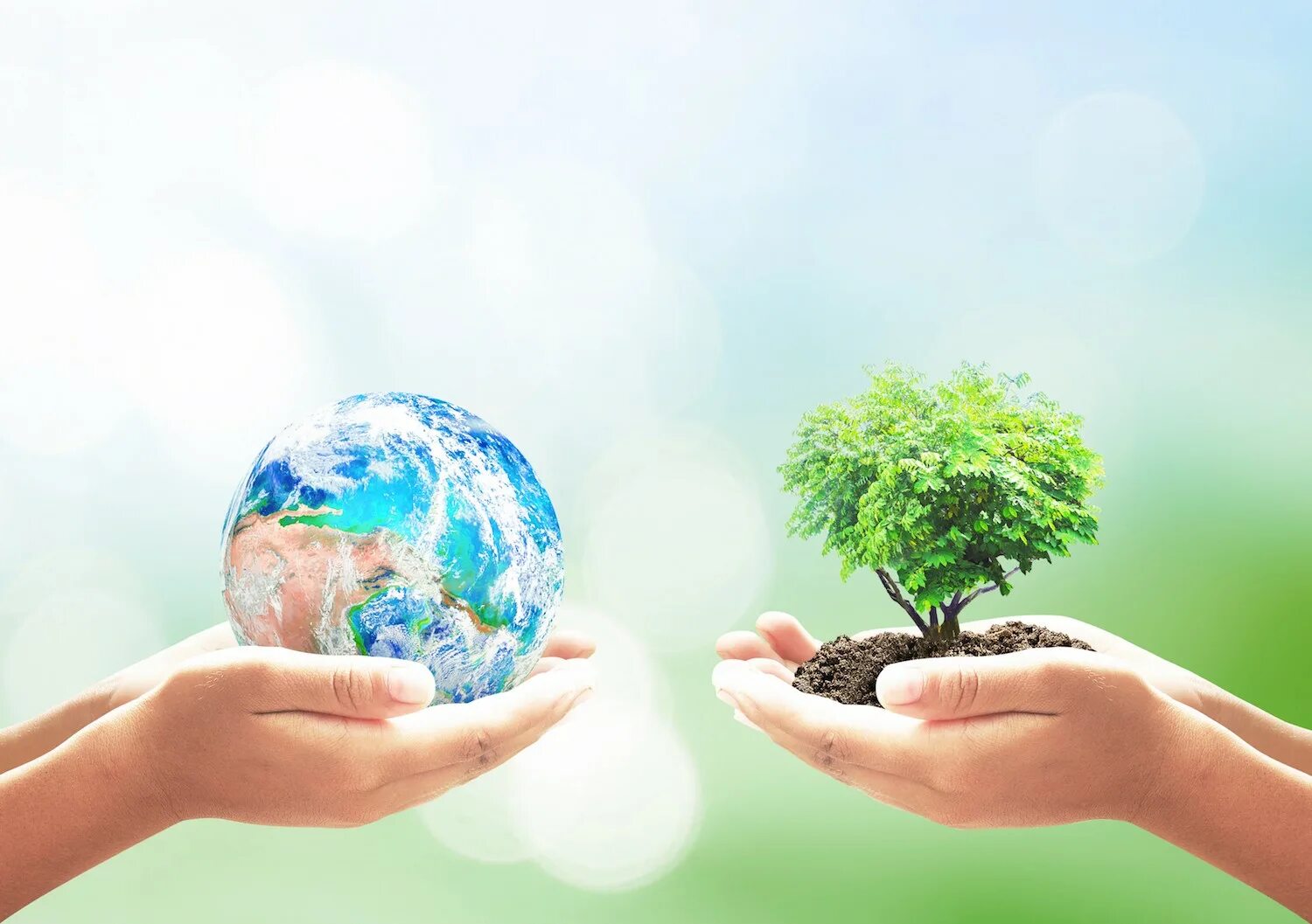 Consider the environment