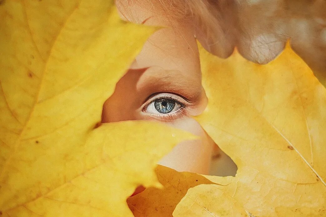 Осень грустит. Осень в глазах. Глаза в листве. Осень грусть. Женские глаза в листве.