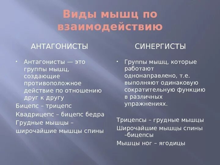 Антагонист что это простыми словами. Мышцы антагонисты и синергисты таблица. Мышцы антагонисты примеры. Примеры мышц антагонистов и синергистов таблица. Мышцы антагонисты примеры таблица.