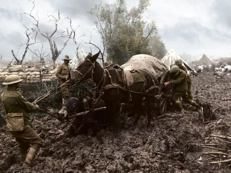 WWI 1914. ПМВ 1918. Первую мировую забыли