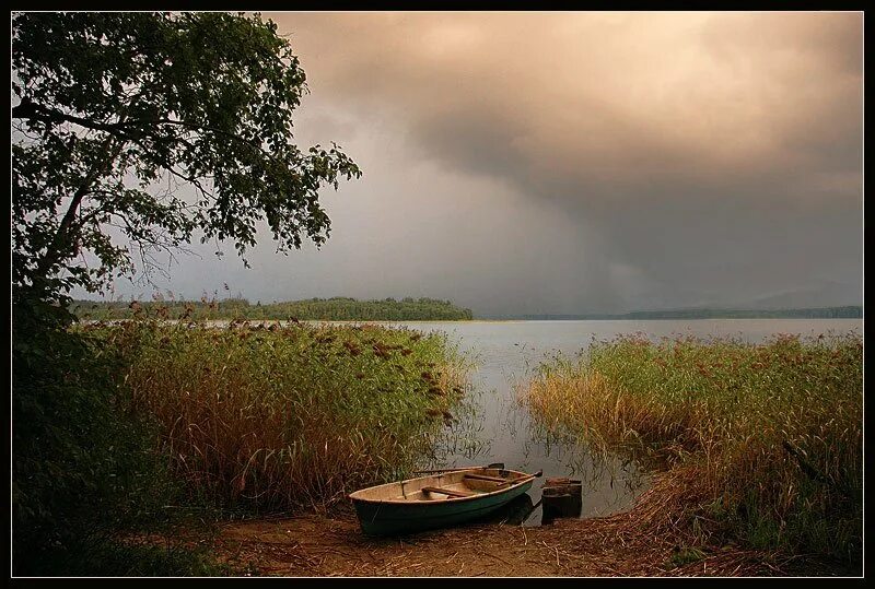 Перед дождем болит. Дождь на озере. Гроза на озере. Лодка в камышах. Дождь над озером.