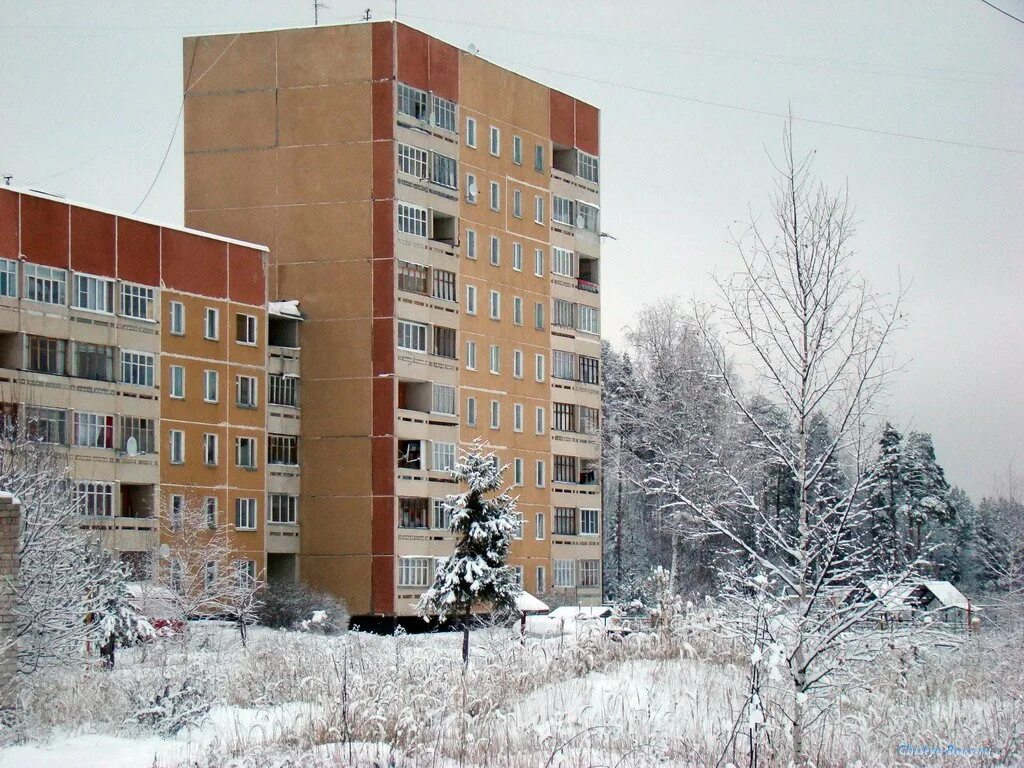 Костромская область пос чистые боры строителей 3. Поселок чистые боры. Г п п чистые боры. Посёлок чистые боры /костро. Чистые боры.