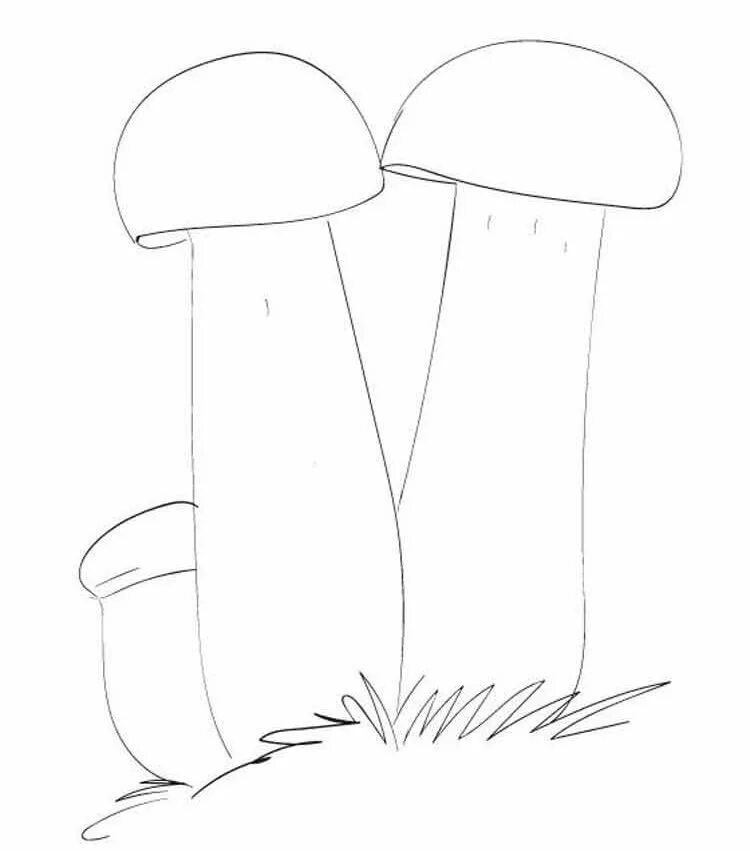 Найти рисунок гриба. Гриб рисунок для детей. Гриб боровик для детей. Найти рисунок гриба. Найти рисунок гриба.