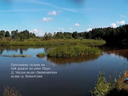 Малая воля