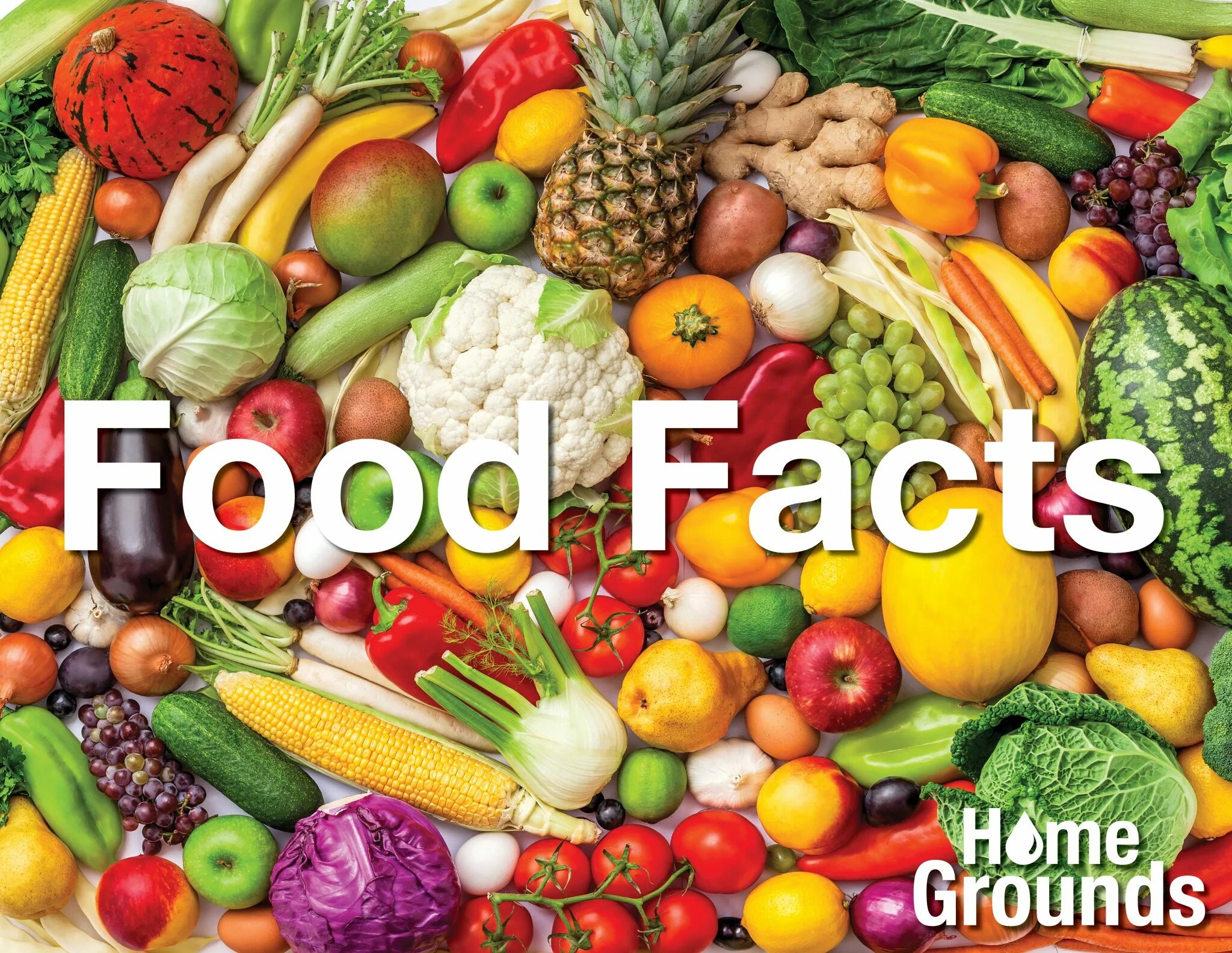 Факт фуд. Facts about food. Facts about healthy food. Interesting facts about healthy food. Interesting food.