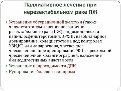 Паллиатив это в медицине