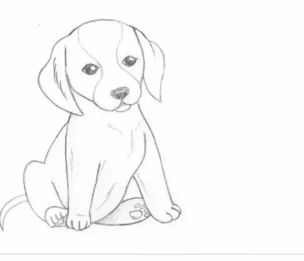 Собачка муму. Собачка муму. Как нарисовать собачку муму. Нарисовать муму собачку. Как нарисовать собачку муму.