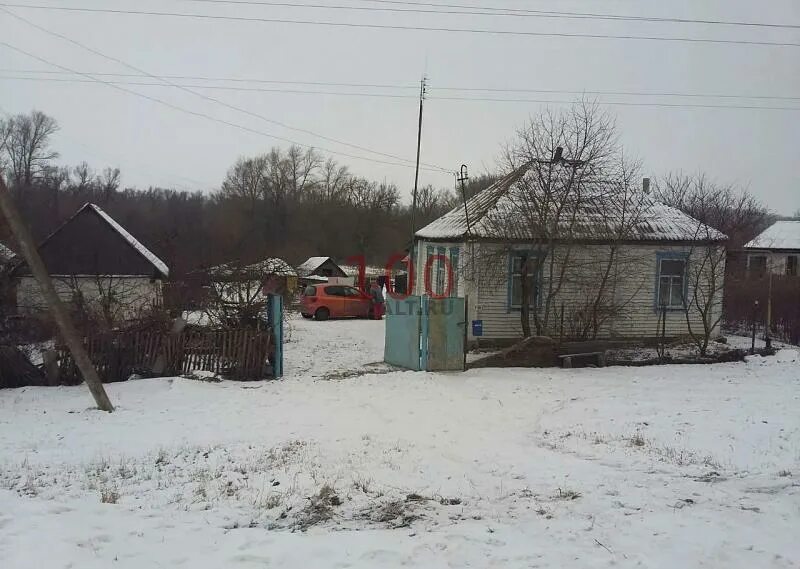 Дома в кантемировке воронежской области. Село Зайцевка Кантемировского района Воронежской. Село Зайцевка Воронежской области фото. Кантемировка дома. Кантемировка Репьевка Воронеж.