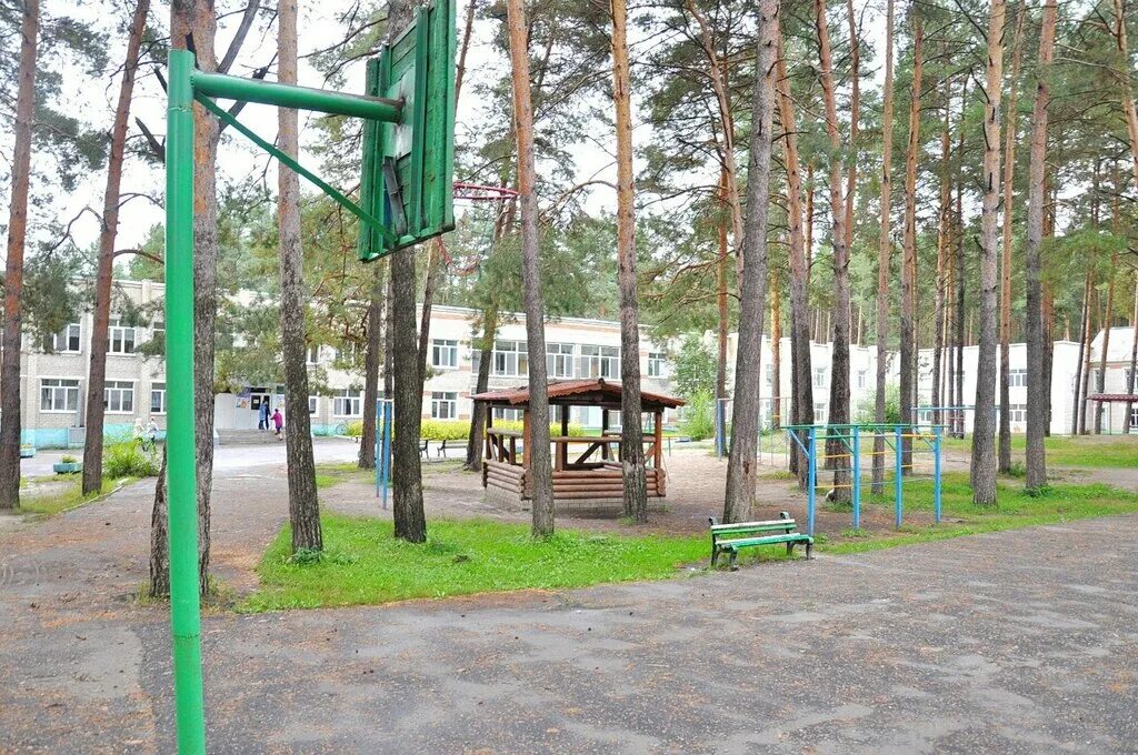Сосновый бор санаторий ковылкино. Ковылкино мордовия сосновый бор. Сосновый бор санаторий ковылкино. Лагерь сосновый бор ковылкино. Санаторий сосновый бор в ковылкино мордовия.