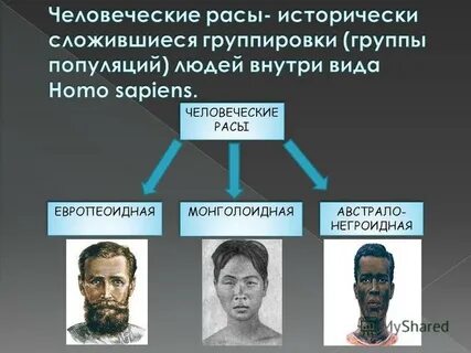 Сто рас