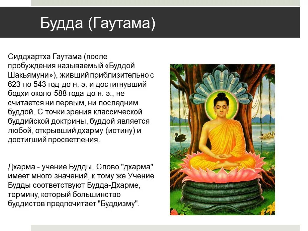 Где родился гаутама история 5 класс. Сиддхартха Гаутама Будда жизнь. Будда - Сиддхартха Гаутама Шакьямуни краткая история. Сообщение о Сиддхартха Будда Просветлённый. Будда принц Сиддхартха Гаутама.