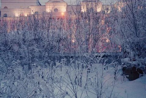 Длинная московская зима преобразившая всю жизнь анны