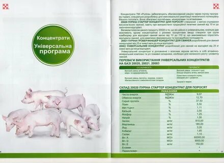 Можно давать комбикорм поросятам