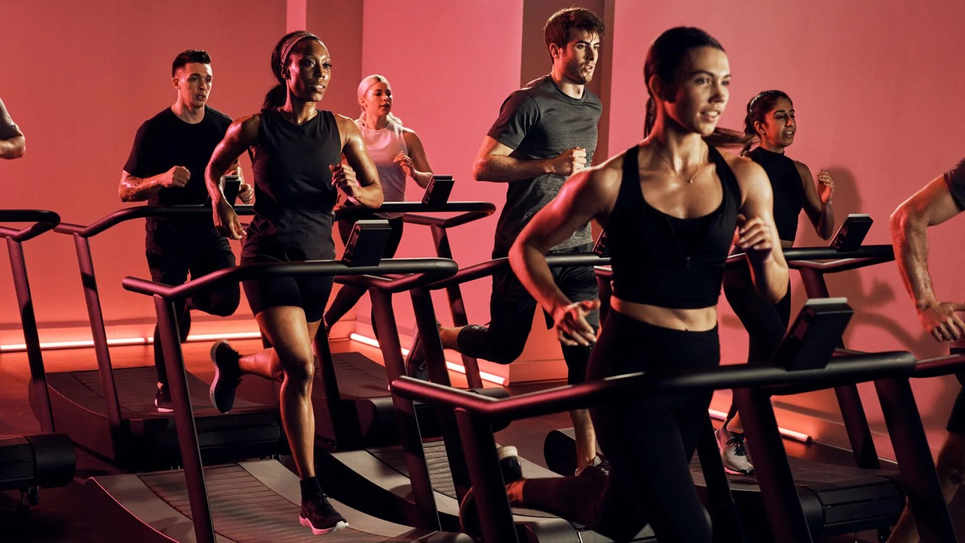 The base fitness