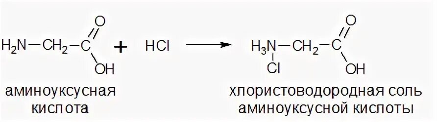 Бензол реагирует с аминоуксусной кислотой