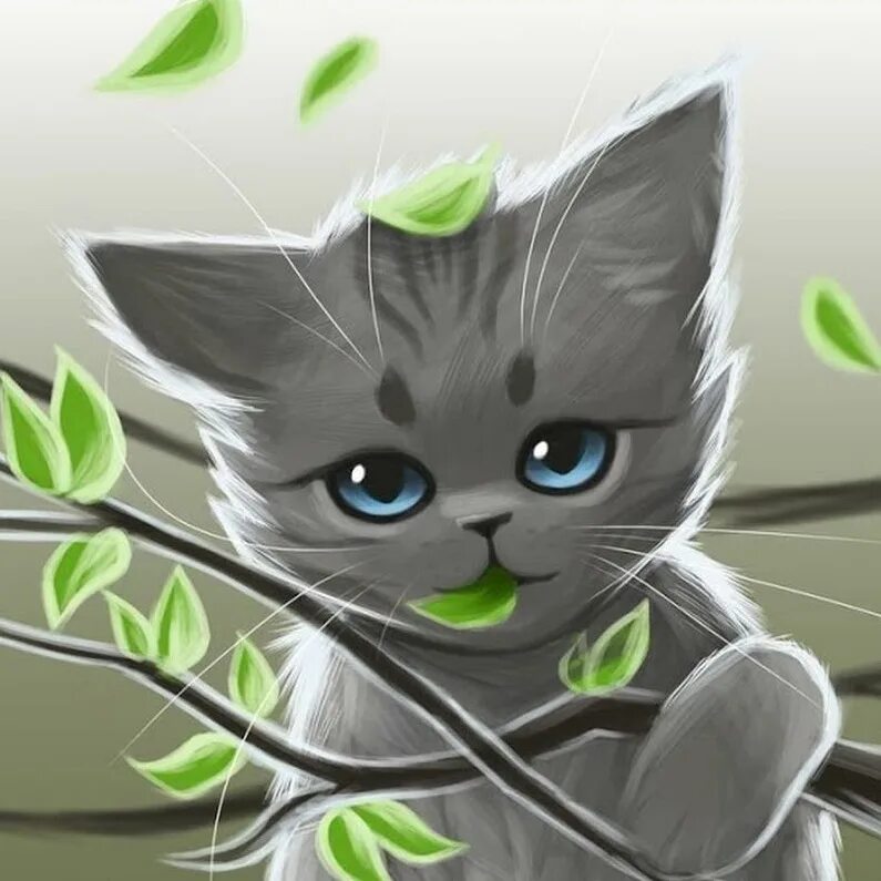 Мята коты воители. Мята коты воители
