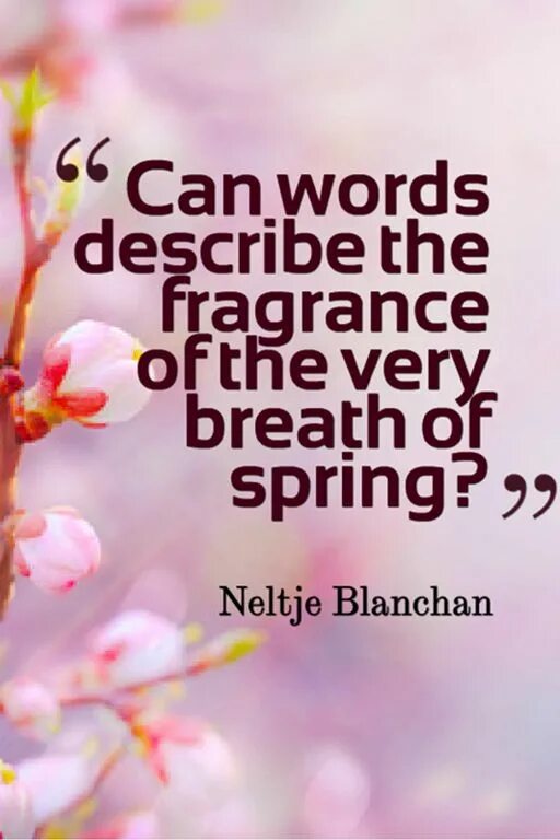 Spring advice. Цитаты про весну. высказывания о весне. spring quotes. proverbs about spring.