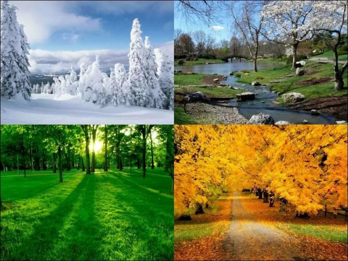 Зима лето пришло. Зима,Весна,лето,осень. Времена года. Поры года. Пейзаж времена года.