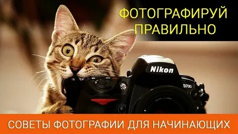 Сфотографируйте 4