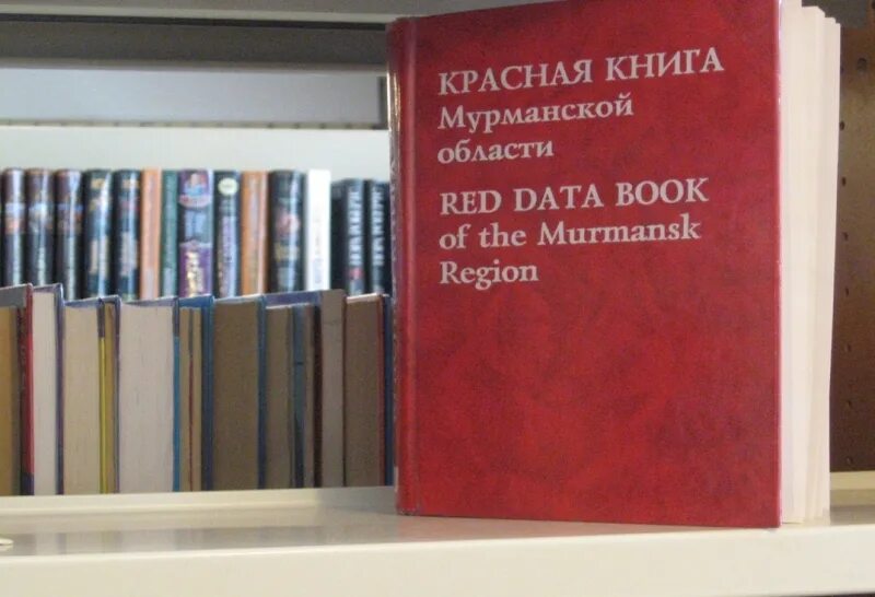 Осенняя страничка. Красный лес. Осенний лес. Региональная красная книга. Красная осень.