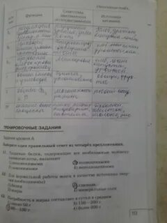 Тетрадь по биологии 8 класс сонин