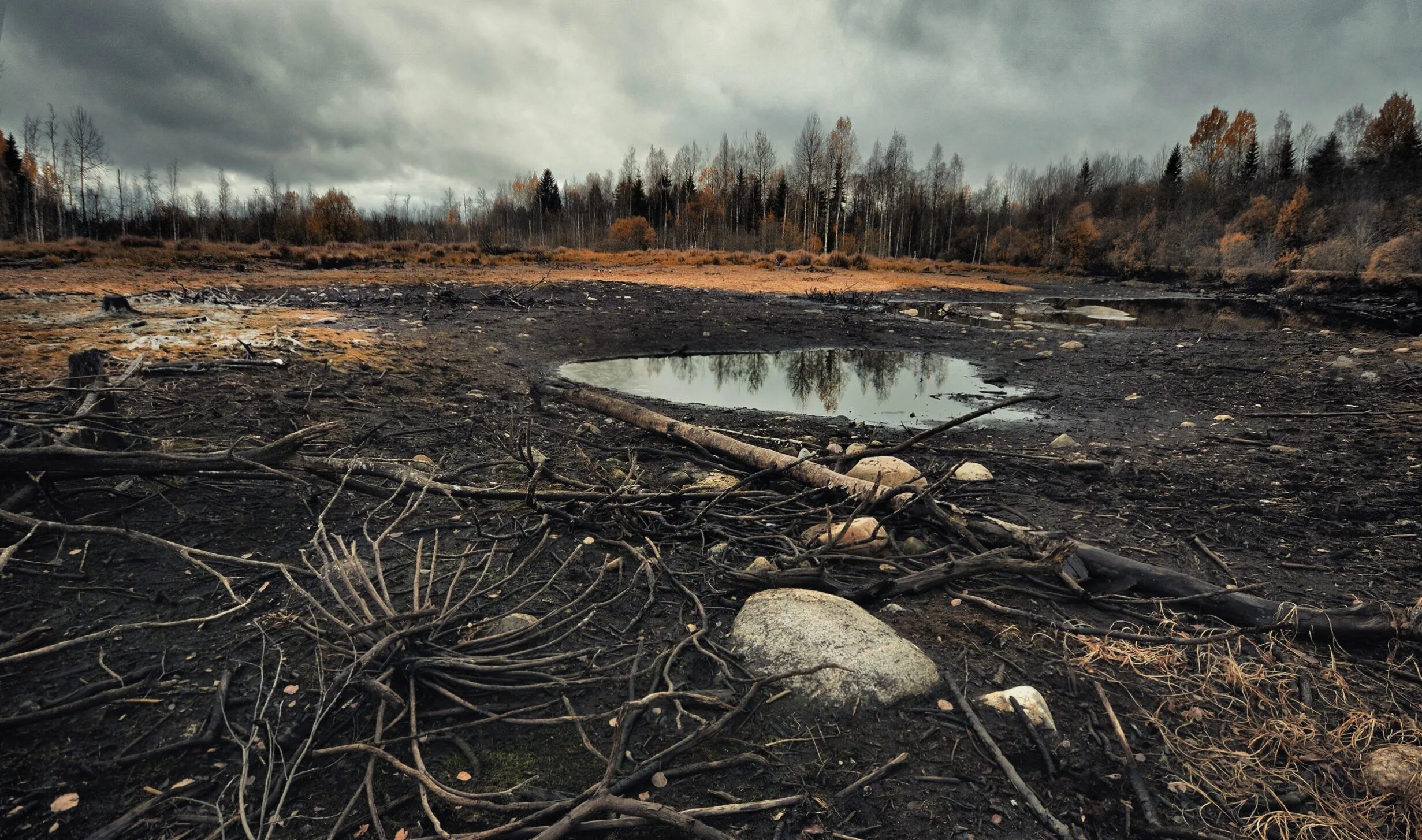 Химическое озеро. Lake dead. Химическое озеро. Lake dead. Lake dead.