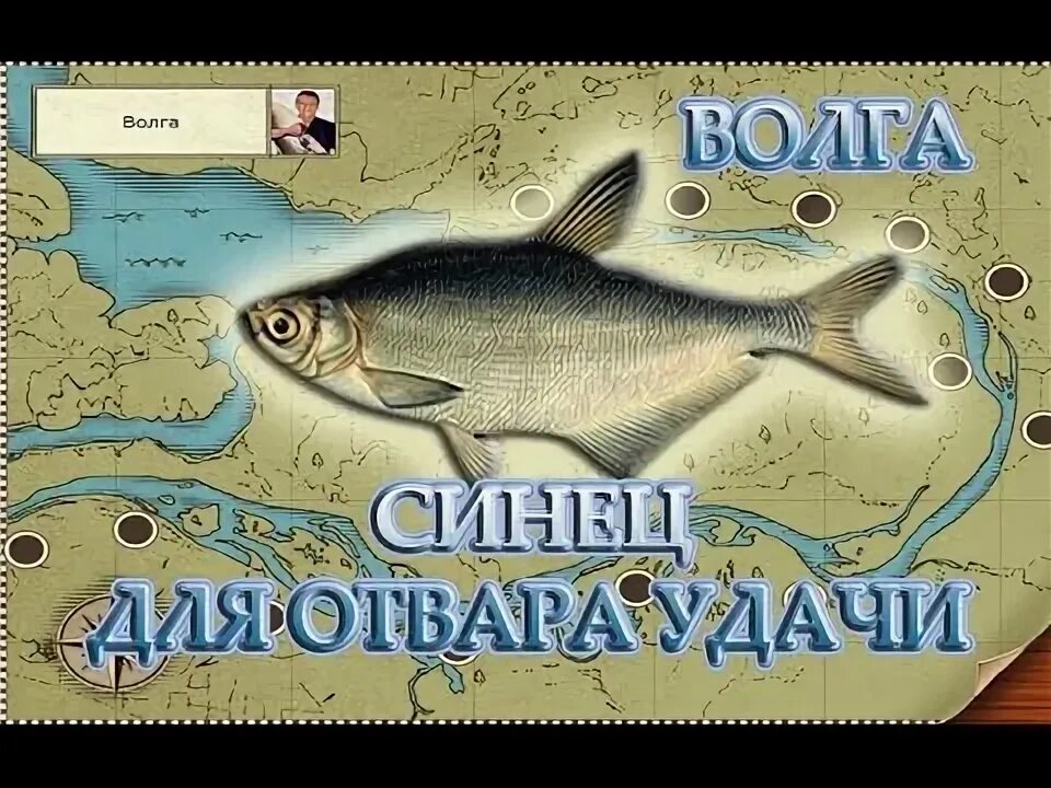 Русская рыбалка 3. Рр3 синец. Рр3 синец. 99 отвар мастерства. Русская рыбалка 3 волга синец.