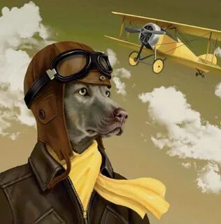 Pilot animal