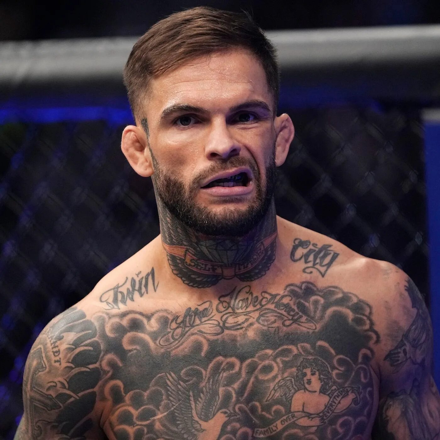 Гарбрандт. Cody Garbrandt. Гарбрандт Ян. UFC 285. Юфс 285 Дата.