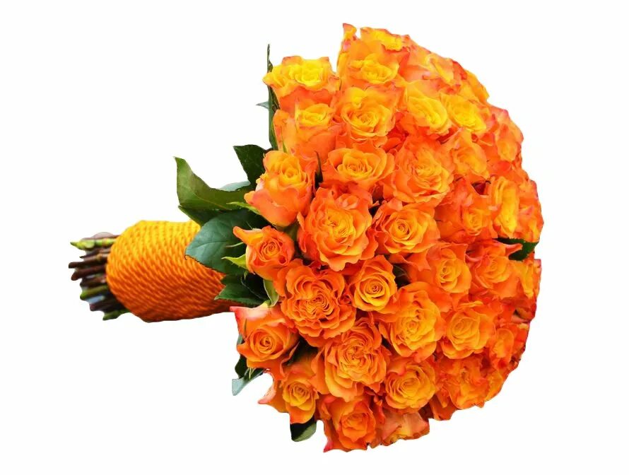 Кустовые розы желто оранжевые. Оранжевые кустовые розы букет. Букет оранжевых роз Горкунов. Оранжевые розы букет. Букет оранжевых цветов