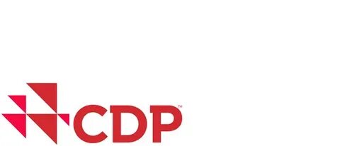 Cdp это