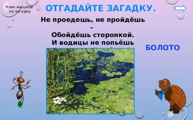 Водные богатства санкт петербурга 2 класс. Загадки о водных богатствах. Загадки о водных богатствах нашей планеты. Водные богатства Ленинградской области 2 класс.