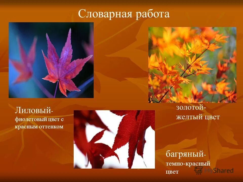 Урок чтения бунин листопад 4 класс