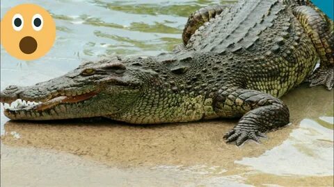 1980 жылдардағы КСРО-дағы секс