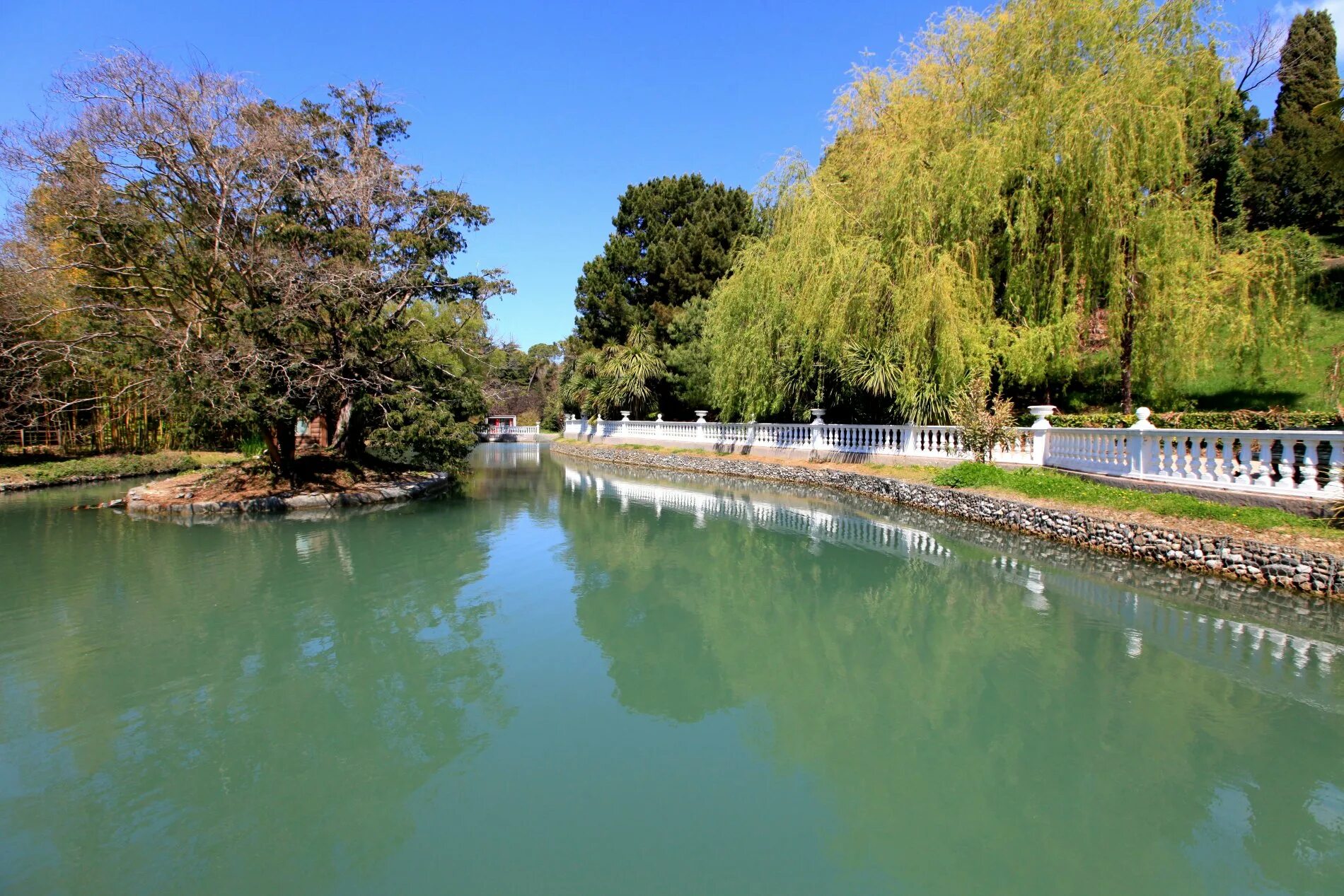 Ботанический парк в адлере. Дендропарк южные. Дендропарк южные. Дендрарий адлер южные культуры. Дендрологический южный парк адлер.