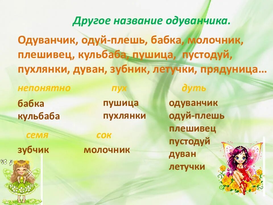 Жанры одуванчиков. Одуванчик разные названия. Презентация к уроку золотой луг. Жанр стихотворения одуванчик. Альтернативные названия одуванчика.