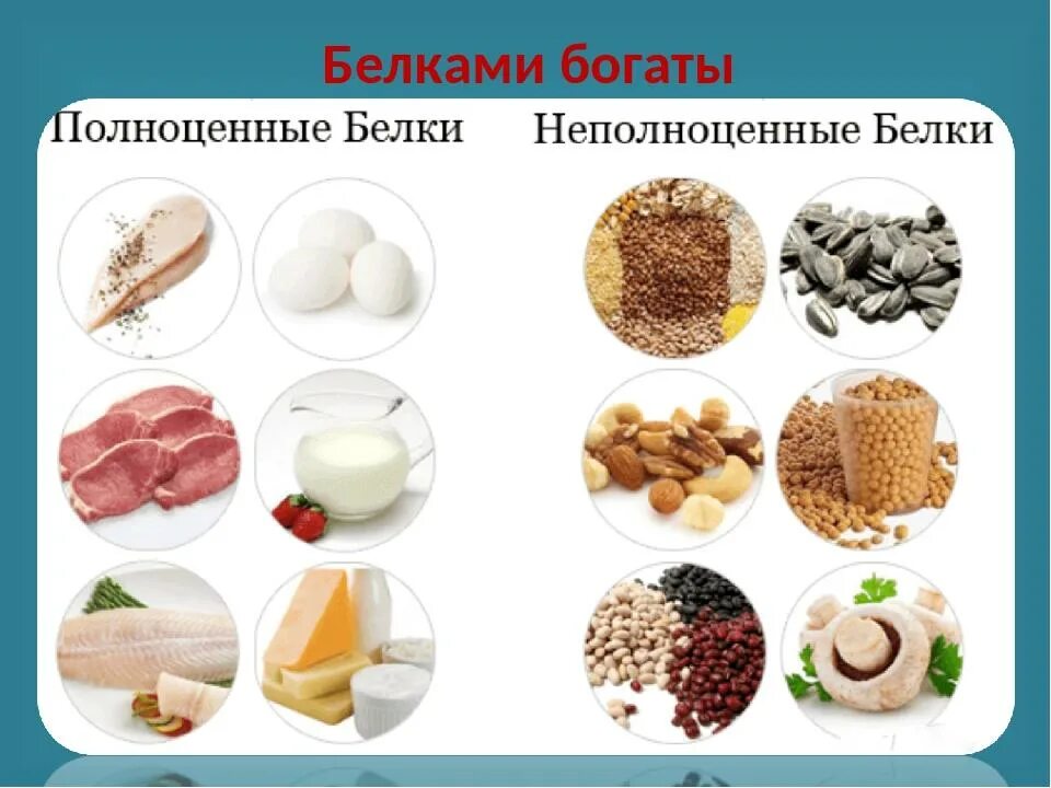 Что содержат белки. Белок в продуктах. белковые продукты. полноценные и неполноценные белки. белки список продуктов.