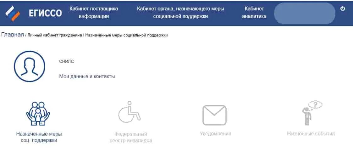 ЕГИССО личный кабинет. ЕГИССО.ру. Портал ЕГИССО. ЕГИССО госуслуги. Назначенные меры социальной