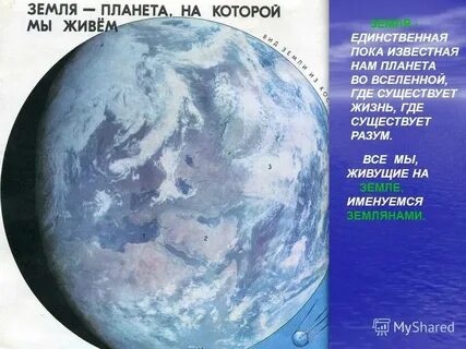 Почему на планете земля есть жизнь