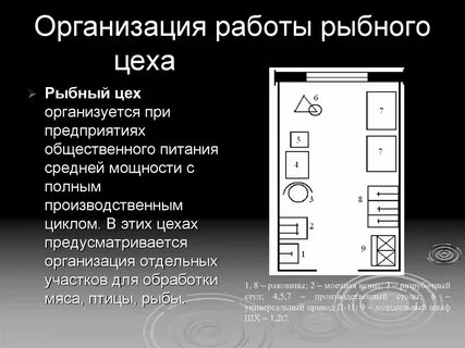 Организация работы цехов технологического оборудования