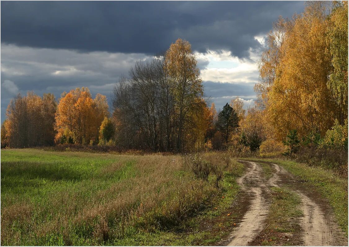 Октябрь природа. Осень октябрь. Сентябрь пейзаж. Пейзаж ранняя осень. Октябрь в разгаре