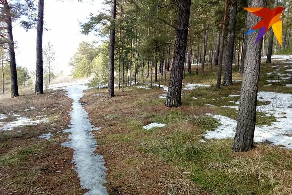 Погода лаптев лог алтайский край. Лаптев Лог Алтайский. Алтайский край село Лаптев Лог. Угловский район Алтайский край населенные пункт Лаптев Лог. Фото Лаптев Лог Алтайский.