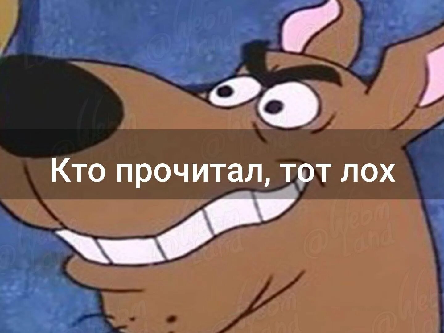 Лохи с айфонами. Телефон для лохов. Звонок от мошенников. Телефон для лохов. Айфон для лохов.