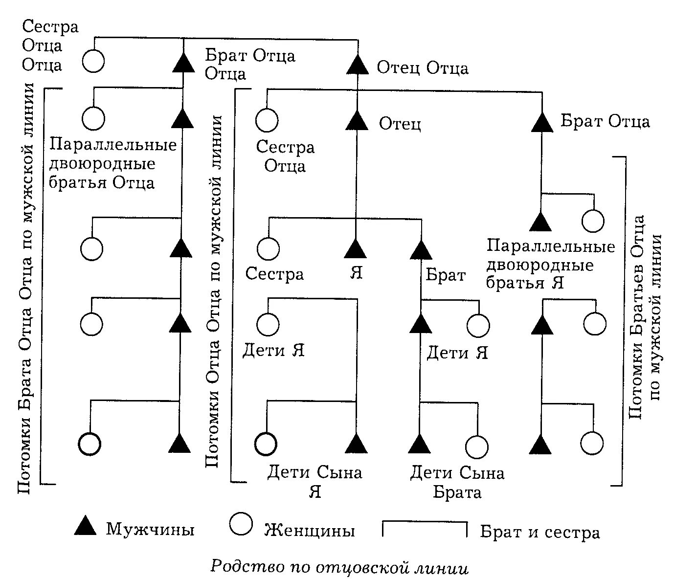 Двоюродный муж это. Схема родственных отношений. Кем приходится родной брат ребенку. Двоюродный брат схема. Степени родства схема.