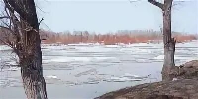 Уровень воды в реке алей