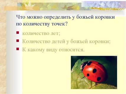 Определить божий